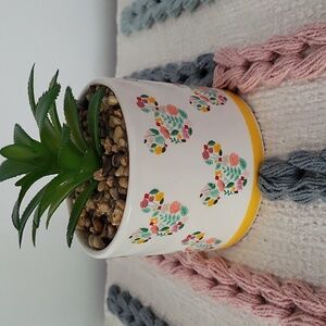Mickey Mouse succulent artificial plant